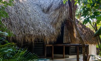 El Alquimista Yoga Spa