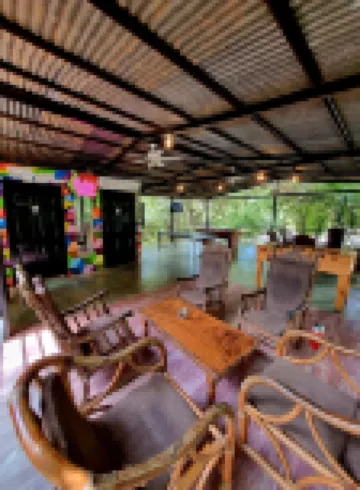 Casa Pura Vida Surf Hostel - Tamarindo Costa Rica