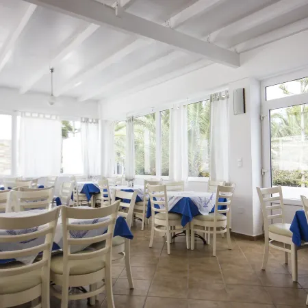 Naxos Holidays