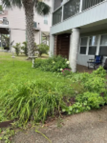 Ochlockonee Bay Waterfront Home 200 ft pier 1st floor over looking the bay