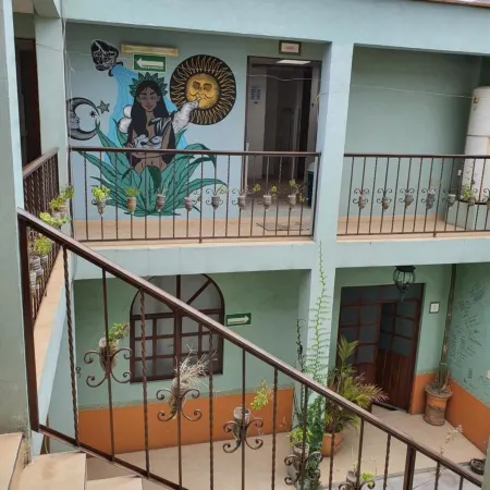 Hierba de Conejo Hostel