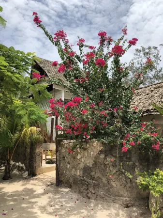 Tamani Villas - Annex Отели рядом с достопримечательностью «Мнемба»