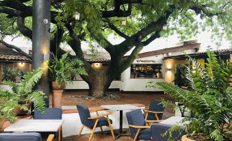 Hotel El Ciruelo, Tepoztlán