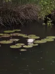 アマヤ ホテル & スイーツ