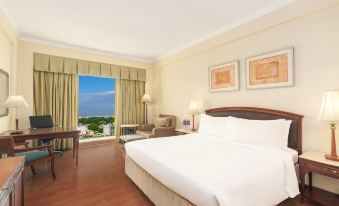 Radisson Hotel Varanasi