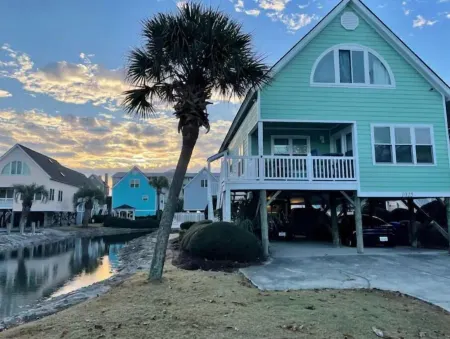 The Tipsy Turtle SSB