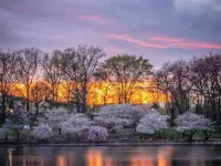 Charming Travel Nest Hotels in East Orange