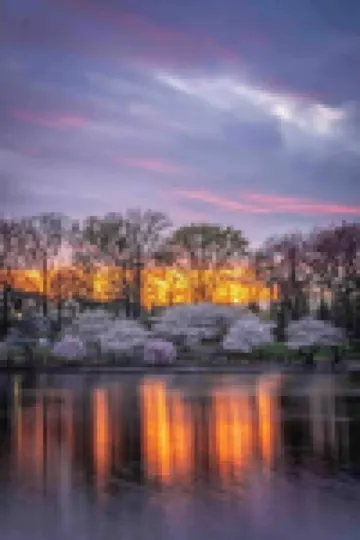 Charming Travel Nest