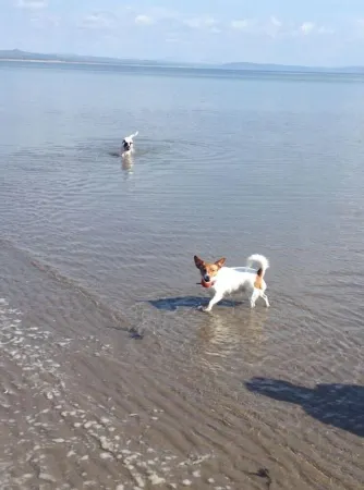 Beach Cottage Sleeps 4 (2 Bedroom)