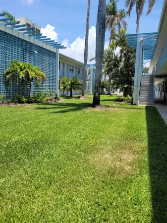 BEACH, POOL, SUNSETS in the Heart of Old Naples! Отели рядом с достопримечательностью «Нейплс Пир»