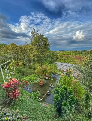 Villa Espectacular en el corazón del Eje Cafetero , rodeado de montañas y cafe.. Отели в г. 