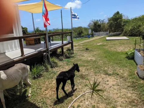 Casa NoSe' at Black Sand Beach