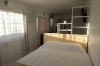 Nido del Parque, Zarcero