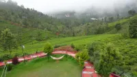 Green Nest Resort Ooty Hotels in The Nilgiris