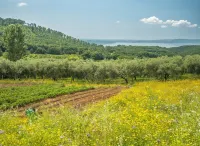 Your Romantic Vacation in the Countryside at Lake Bracciano!