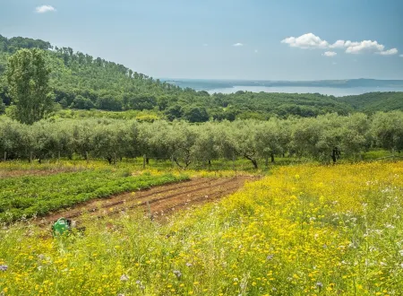 Your Romantic Vacation in the Countryside at Lake Bracciano! Отели в г. Тревиньяно-Романо
