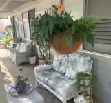 Private Central Guesthouse Hotels in Dudley Park