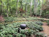 Garden Ensuite at the Chapel Hill Retreat Center