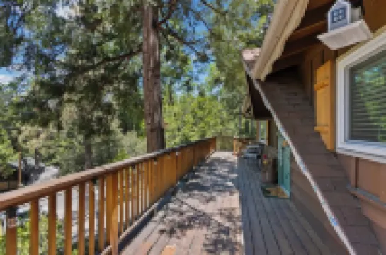 Central Heat & Air, WiFi, Wall Mural and Fully Fenced Minutes from Downtown