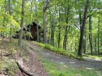 Entire cabin in Lost City, West Virginia