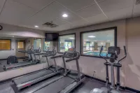 Country Inn & Suites by Radisson, Crystal Lake, IL - gimnasio