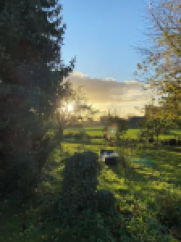 Comfortable living on a farm surrounded by greenery and art