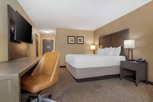 Comfort Inn Opelika - Auburn