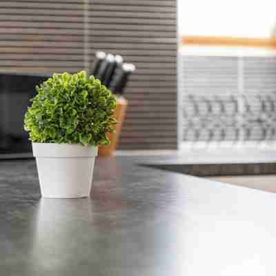 Portland Penthouse - Donnini Apartments Fitness & Recreational Facilities