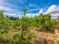 Can Pintat (llubÍ) - Villa With Private Pool Hotels in Llubi