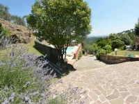Holiday home in Tuscany with 3 bedrooms