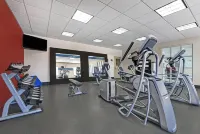 戴明歡朋飯店 - 健身房