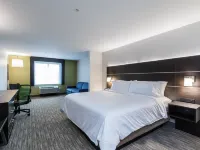 Holiday Inn Express & Suites SOUTH BEND - CASINO by IHG Hotels in St. Joseph County