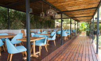 Gamma Monterrey Rincon de Santiago