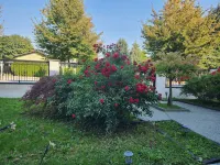 Royal Boutique Hotel Hotels in Guildford