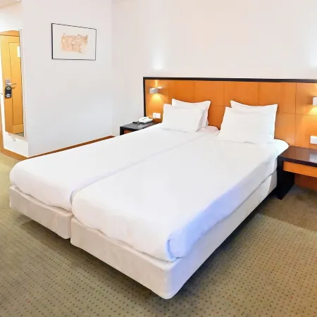 Hotel Bagoeira Hotels in Barcelos