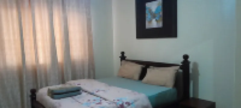 烏干達瑪萊卡公寓 酒店