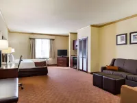 Comfort Suites Near NASA - Clear Lake Hotels in Webster