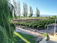 Rincon Del Malbec - Homestays