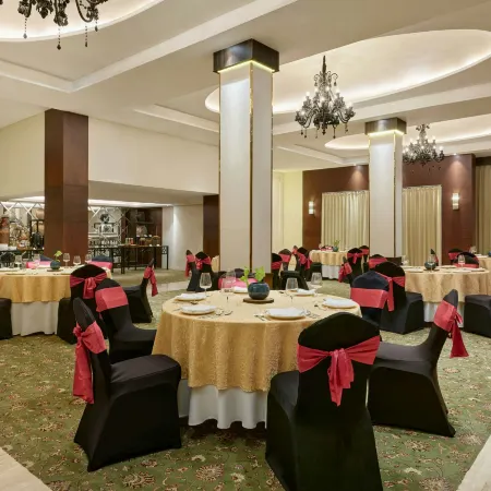 The Fern Residency Udaipur, Series by Marriott