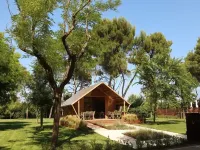 Conero Azzurro Hotels in Numana