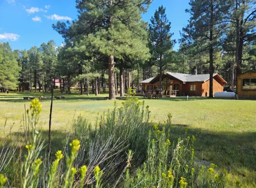 Welcome to Cozy Doo's Casa -A Warm, Woodsy Getaway in Angel Fire, NM