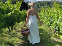 Private Douro- Quinta Das Susandas Hotels in Baiao