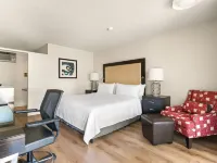 Vagabond Inn Los Angeles at USC Hotels near إكسبوزيشن بارك
