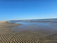 5 Star Holiday Home in Frørup - Homestays