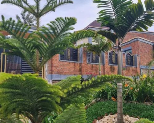 Room-Charming Room in Kayove, Rwanda - Y Hotels in Rutsiro