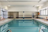 Holiday Inn Toronto Downtown Centre by IHG - Beach
