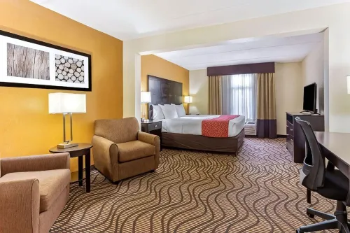 Comfort Inn & Suites Tampa North I-75 - parking