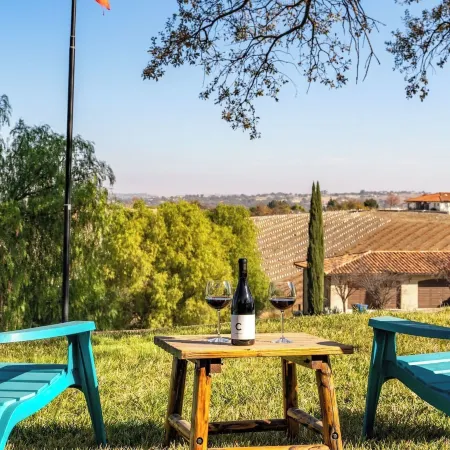 46 West Walnut Hill by Avantstay Vineyard Views + Gourmet Kitchen Near Downtown Paso Robles