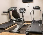 Comfort Inn & Suites and Conference Center - Gym