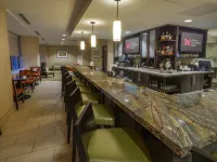 Hilton Garden Inn Buffalo Downtown - bar